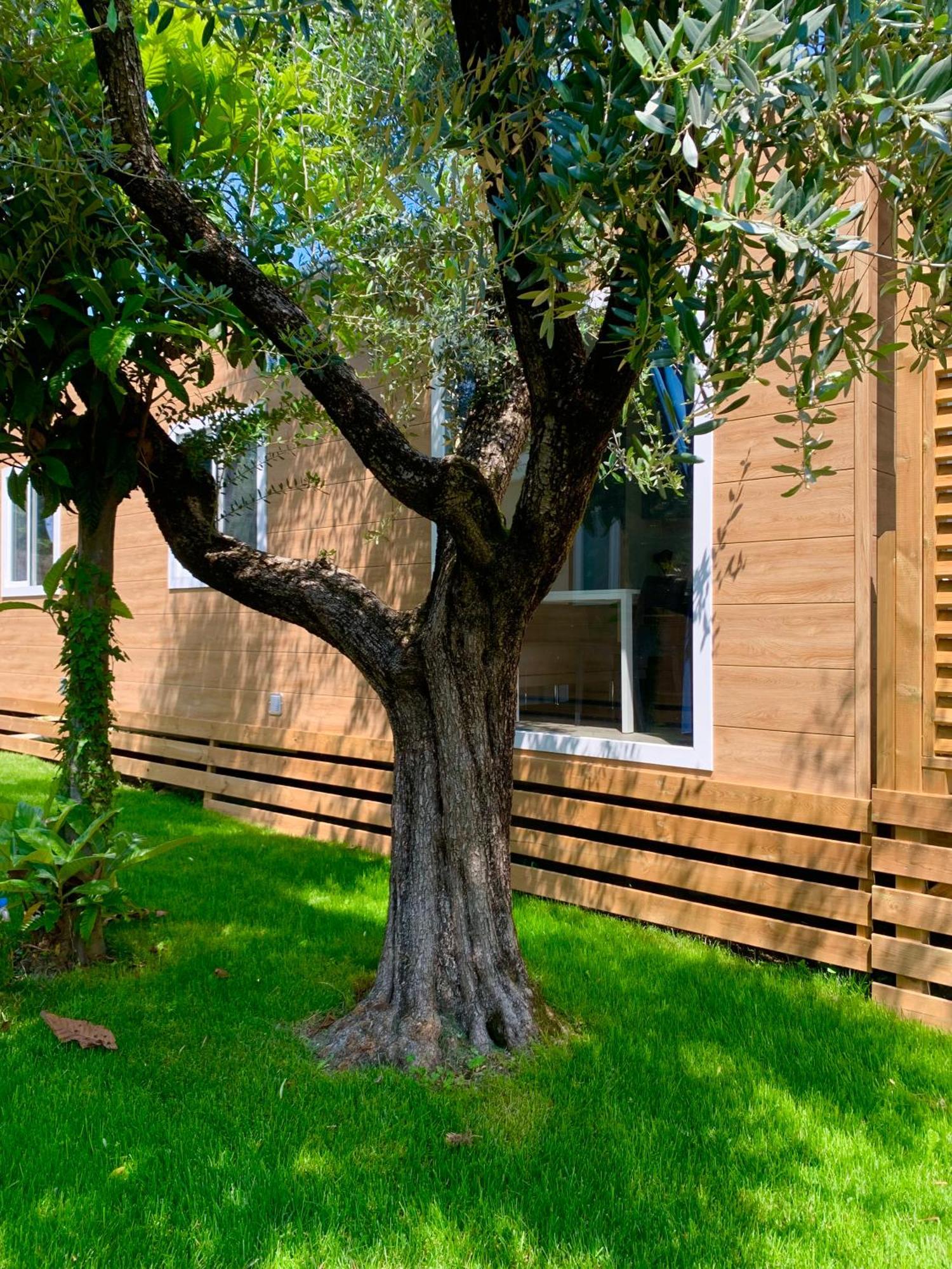 Della Colombaia Campingplatz Padenghe sul Garda